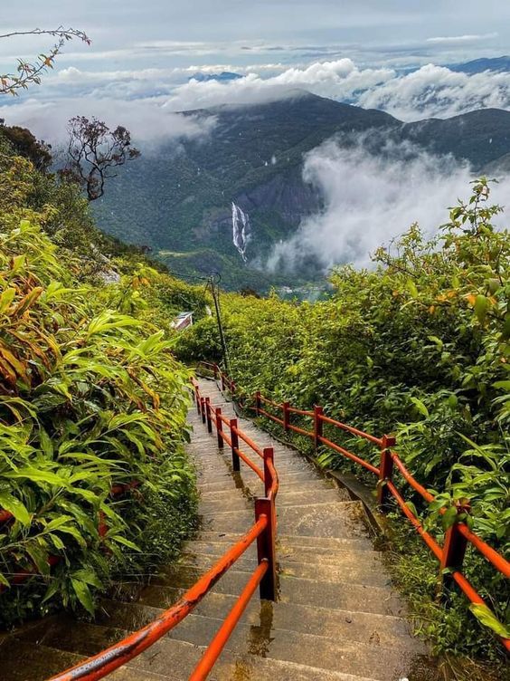 The epic climb up Adam's Peak in Sri Lanka! The…