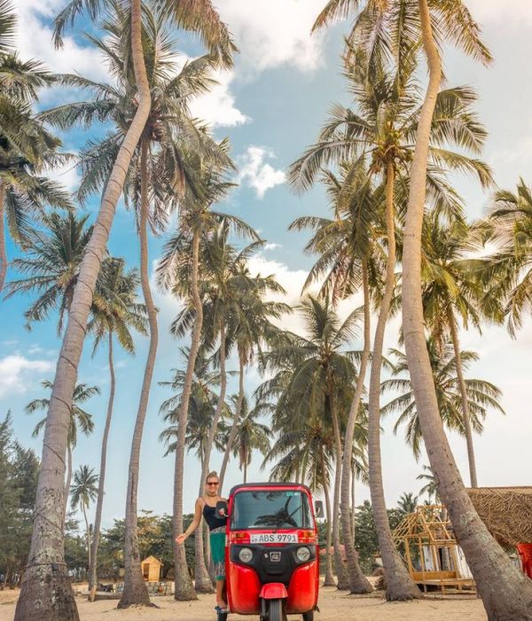 17 BEST Things to do in Trincomalee, Sri Lanka - Destinationless Travel