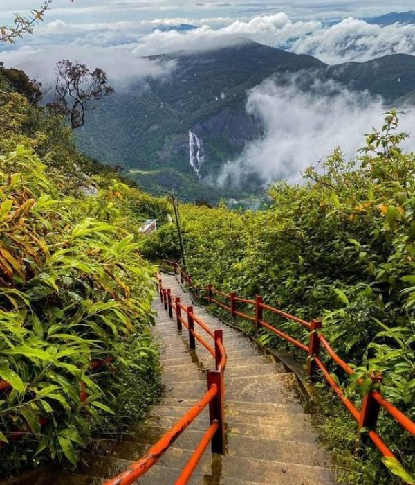 The epic climb up Adam's Peak in Sri Lanka! The…